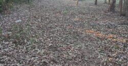 terreno cidade de  mostardas  5000 metros