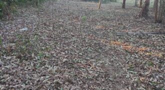 terreno cidade de  mostardas  5000 metros