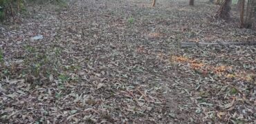 terreno cidade de  mostardas  5000 metros