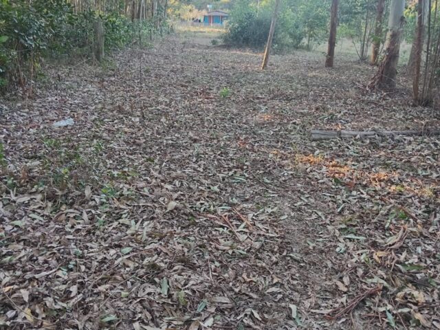 terreno cidade de  mostardas  5000 metros