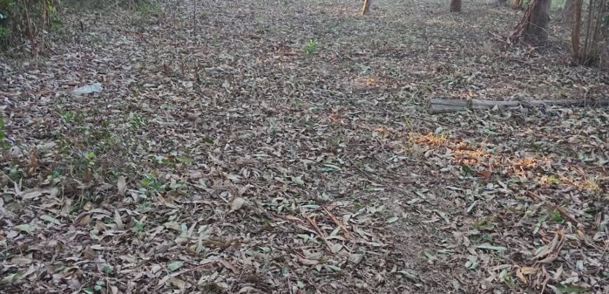 terreno cidade de  mostardas  5000 metros