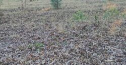 terreno cidade de  mostardas  5000 metros