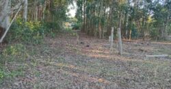 terreno cidade de  mostardas  5000 metros