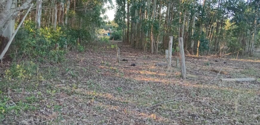 terreno cidade de  mostardas  5000 metros