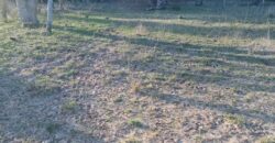terreno cidade de  mostardas  5000 metros