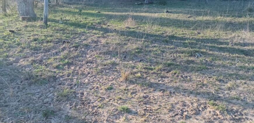 terreno cidade de  mostardas  5000 metros