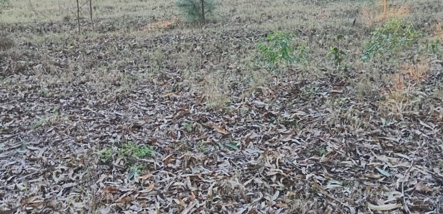 terreno cidade de  mostardas  5000 metros