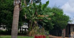 casa  na ponderosa Águas Claras Viamão p.92