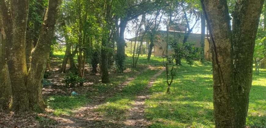 casa na ponta do aterro   parada 72 Águas Claras Viamão