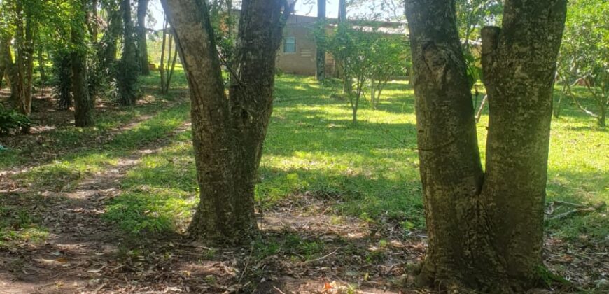 casa na ponta do aterro   parada 72 Águas Claras Viamão