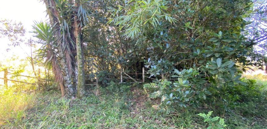 casa na parada 90 Águas Claras Viamão