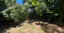 terrenos  condomínio  golf 1  Águas Claras Viamão