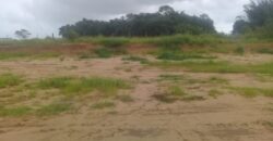2  hectares  na boa vista   à 2km da RS 040
