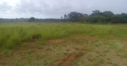 2  hectares  na boa vista   à 2km da RS 040
