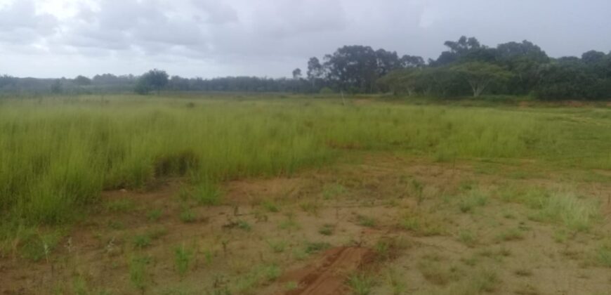2  hectares  na boa vista   à 2km da RS 040