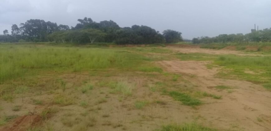 2  hectares  na boa vista   à 2km da RS 040