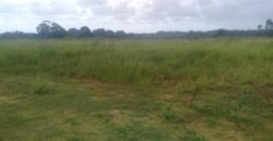 2  hectares  na boa vista   à 2km da RS 040