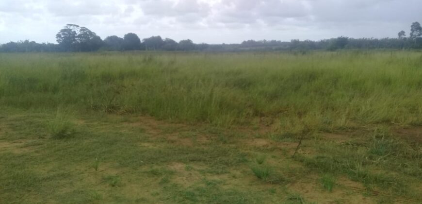 2  hectares  na boa vista   à 2km da RS 040