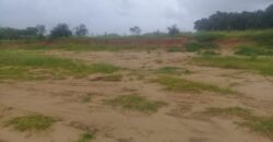 2  hectares  na boa vista   à 2km da RS 040