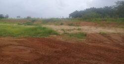 2  hectares  na boa vista   à 2km da RS 040