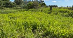 2  hectares  na boa vista   à 2km da RS 040