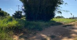 2  hectares  na boa vista   à 2km da RS 040