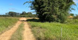 2  hectares  na boa vista   à 2km da RS 040