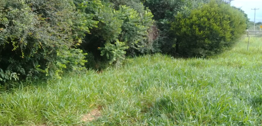 terreno  comercial e  moradia parada 90 aguas claras viamão
