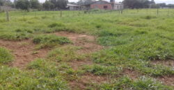 terreno  comercial e  moradia parada 90 aguas claras viamão