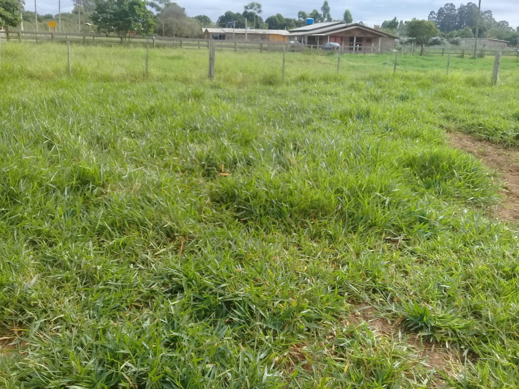 terreno  comercial e  moradia parada 90 aguas claras viamão