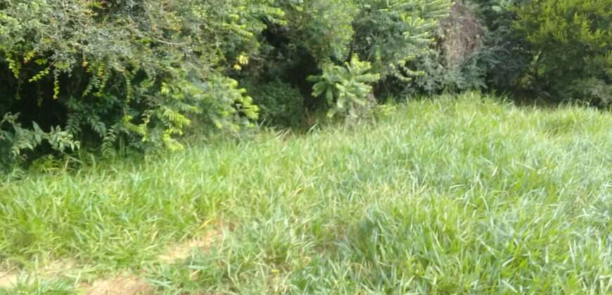 terreno  comercial e  moradia parada 90 aguas claras viamão