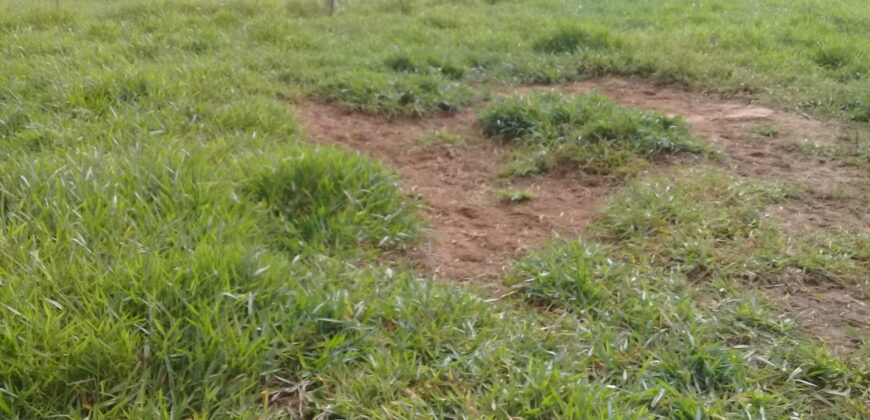 terreno  comercial e  moradia parada 90 aguas claras viamão