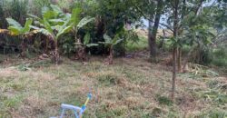 terreno 502 m2 quinta da boa vista