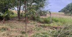 terreno 502 m2 quinta da boa vista