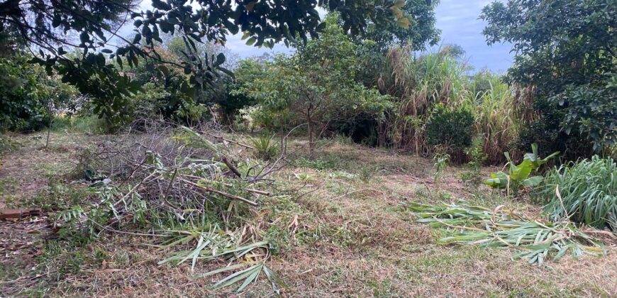 terreno 502 m2 quinta da boa vista
