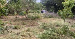 terreno 502 m2 quinta da boa vista