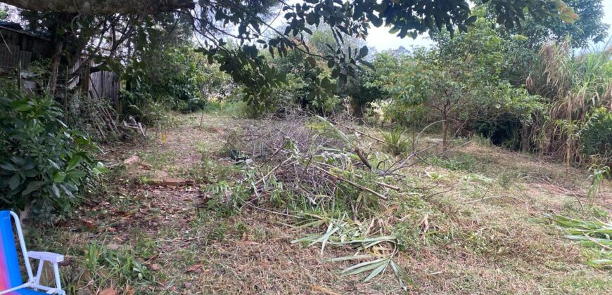 terreno 502 m2 quinta da boa vista