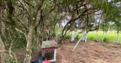 terreno  2500 m2  cercado