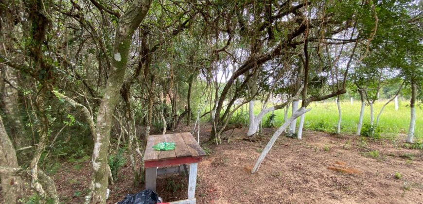 terreno  2500 m2  cercado