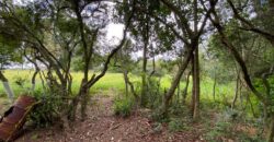 terreno  2500 m2  cercado