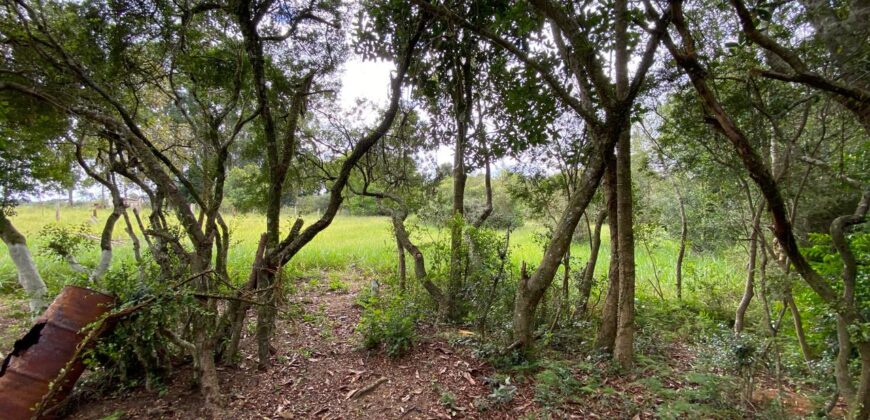 terreno  2500 m2  cercado
