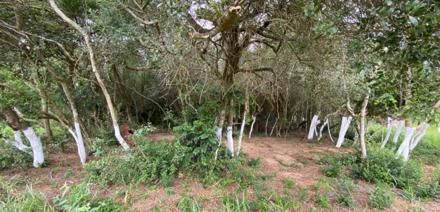 terreno  2500 m2  cercado