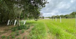 terreno  2500 m2  cercado