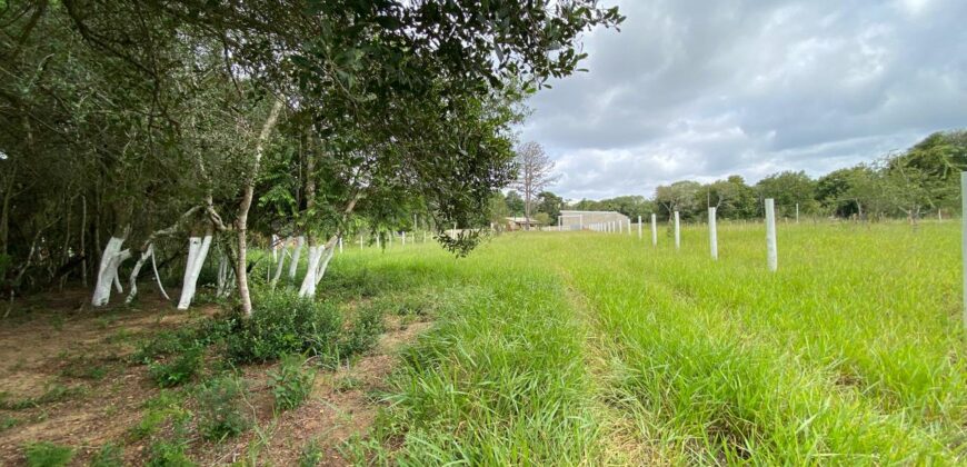terreno  2500 m2  cercado