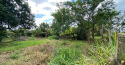 terreno 502 m2 quinta da boa vista