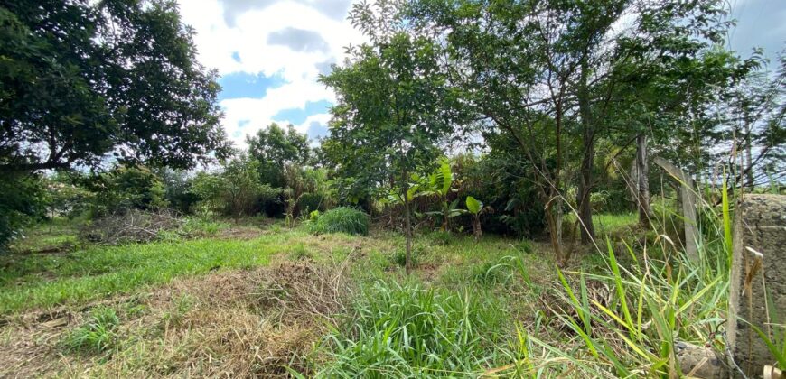 terreno 502 m2 quinta da boa vista
