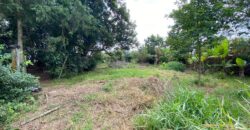 terreno 502 m2 quinta da boa vista