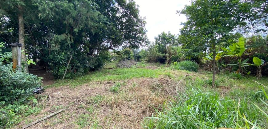 terreno 502 m2 quinta da boa vista