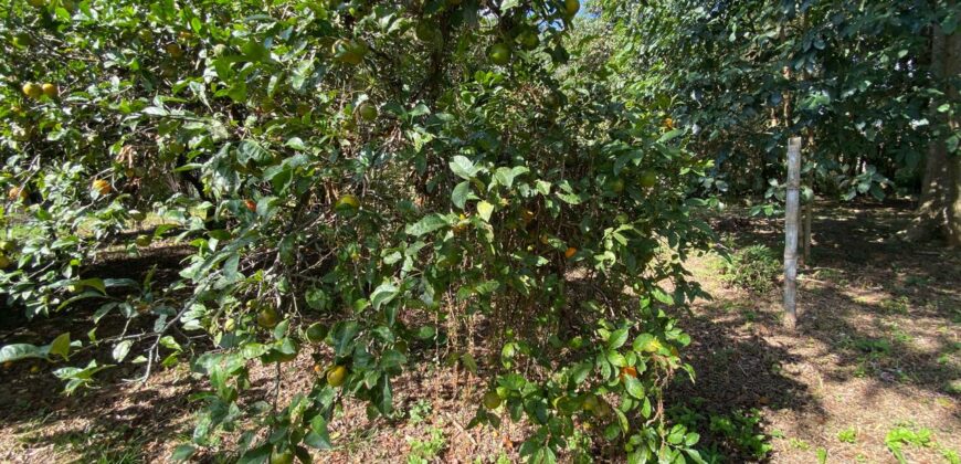 Ótimo terreno com 1.857m² dentro de condomínio fechado