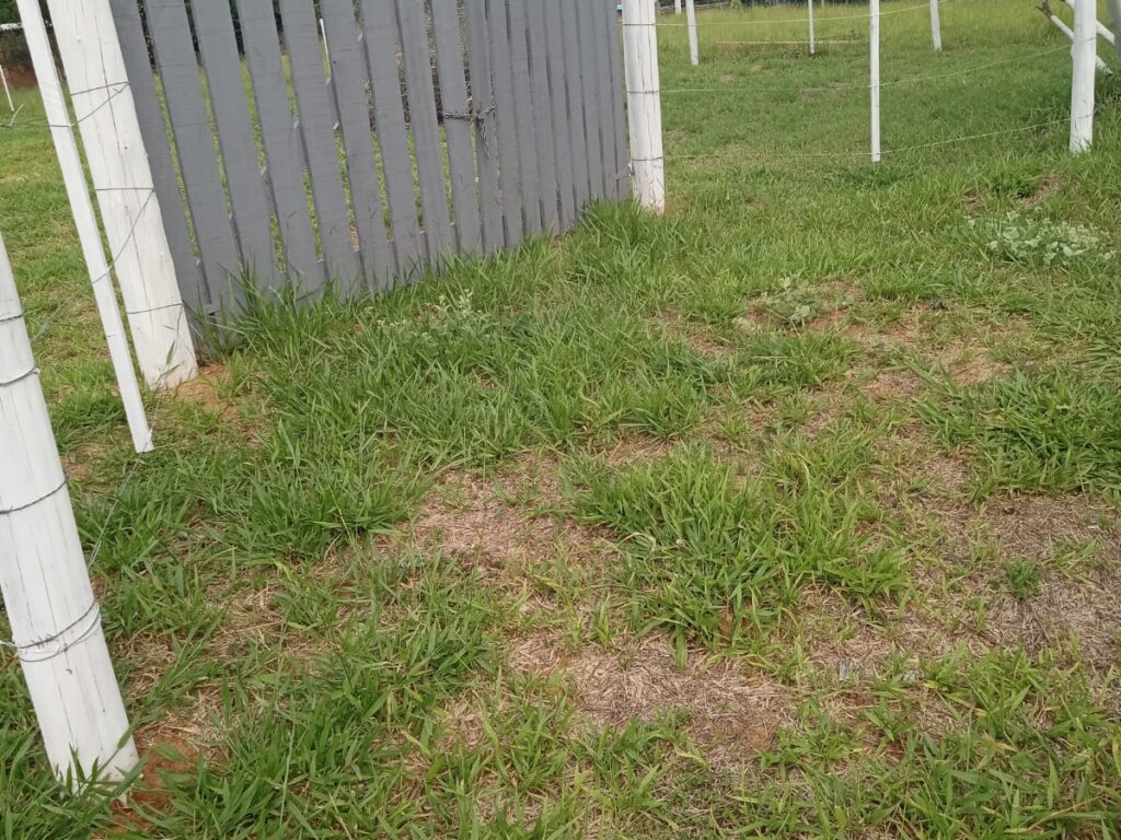 terreno  2500 m2  cercado
